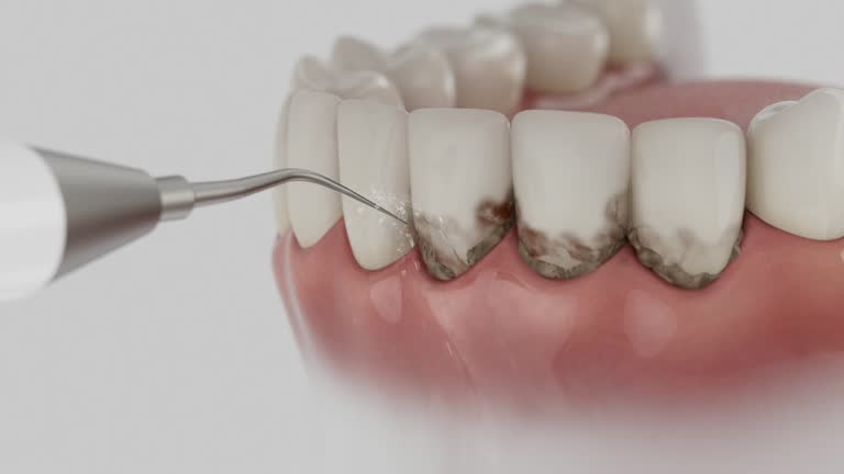 Reliable Dental contractor in Roseville, MI by Dentist Open Now